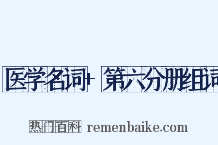 医学名词+第六分册组词是什么意思的图片